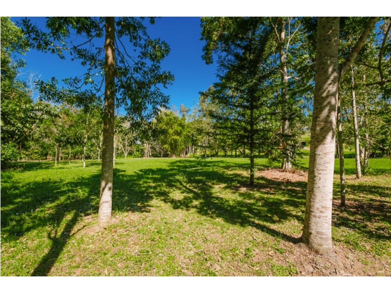8-26 Annona Court, Palmwoods QLD 4555
