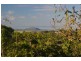 17 PARLE CRESCENT, Buderim QLD 4556