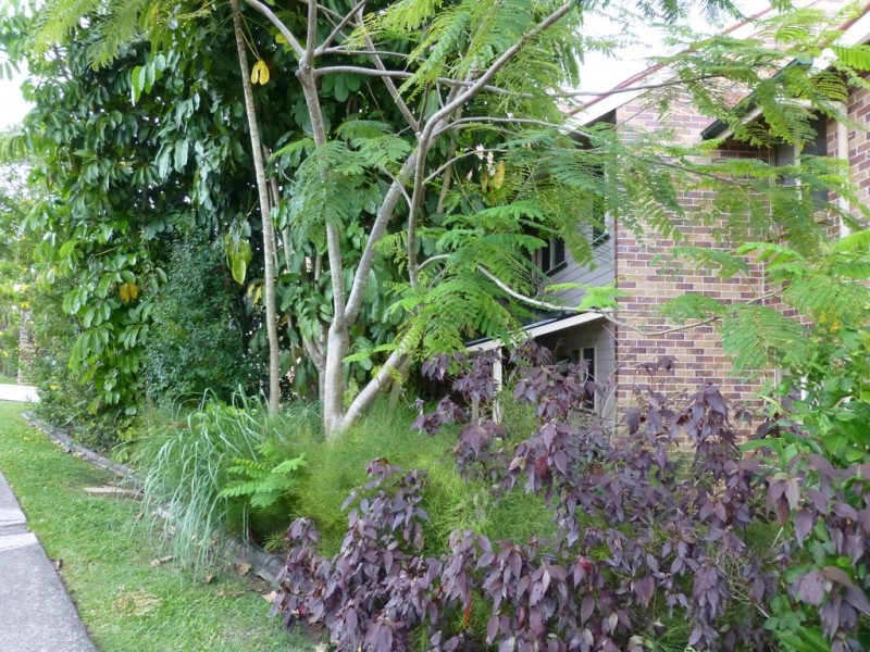 5/57 Netherton Street, Nambour QLD 4560