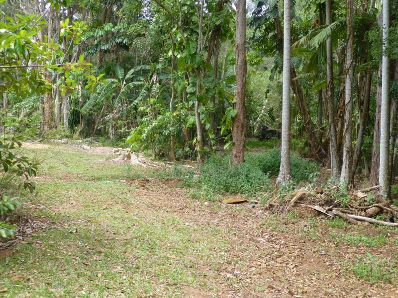 111 Hunchy Road, Hunchy QLD 4555