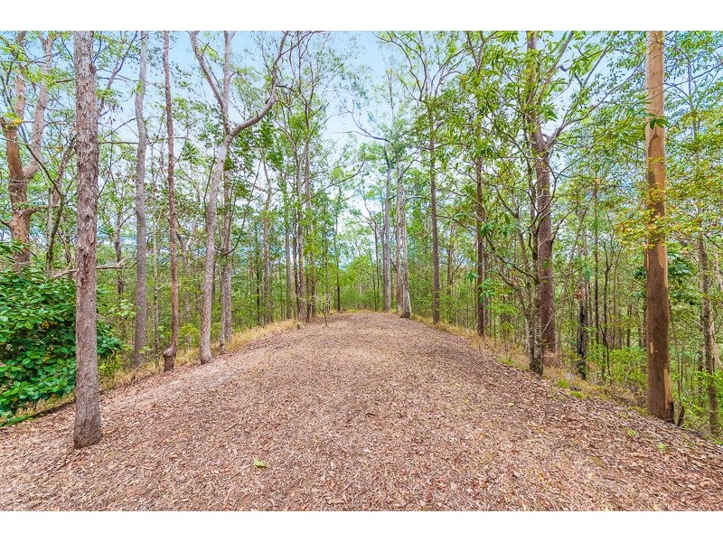 142 CITRUS ROAD, Landers Shoot QLD 4555