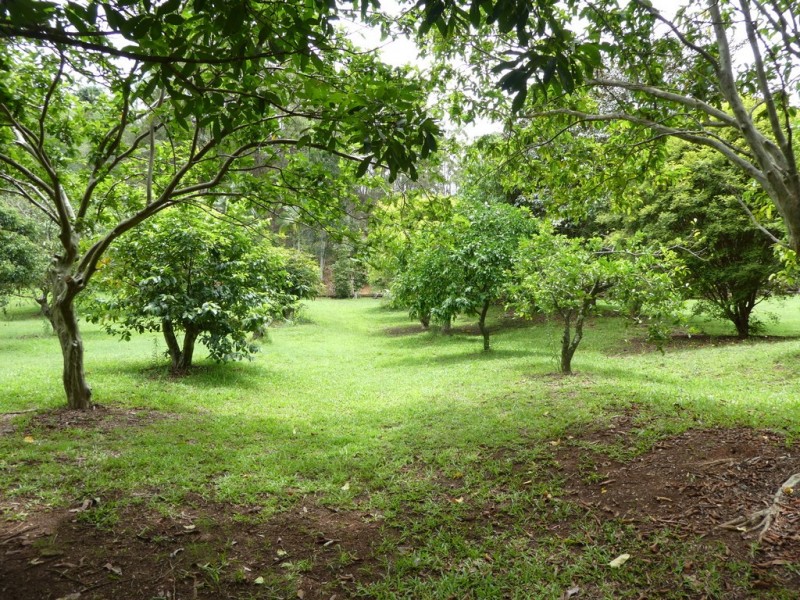 17 SKORPIL LANE, Landers Shoot QLD 4555