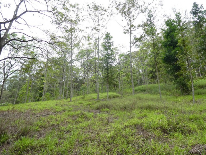 17 SKORPIL LANE, Landers Shoot QLD 4555