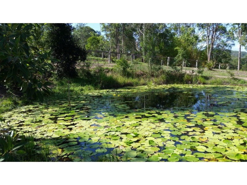 22-28 BROWNS ROAD, Belli Park QLD 4562