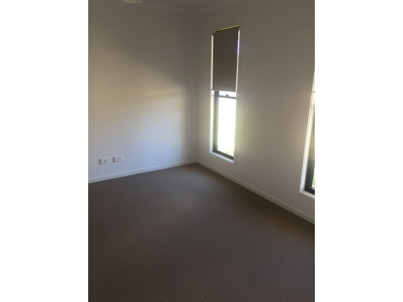 7 Frawley Place, Palmwoods QLD 4555