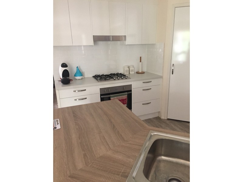 12 Holyn Close, Woombye QLD 4559