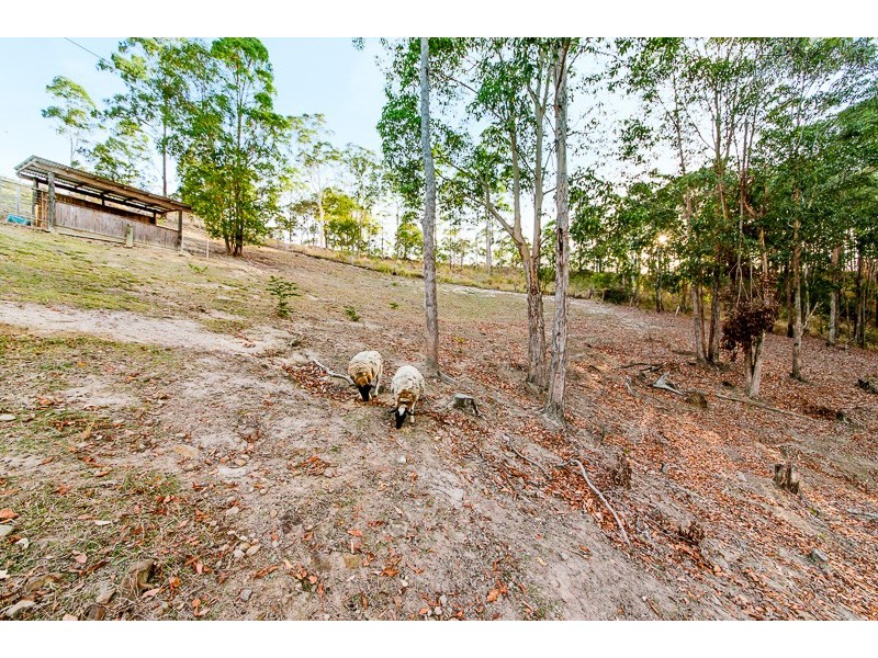 93 PERRINS ROAD, Eudlo QLD 4554