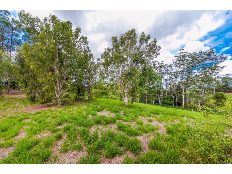Lot 2, 57 Winston Road, Palmwoods QLD 4555