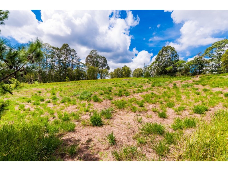 Lot 2, 57 Winston Road, Palmwoods QLD 4555