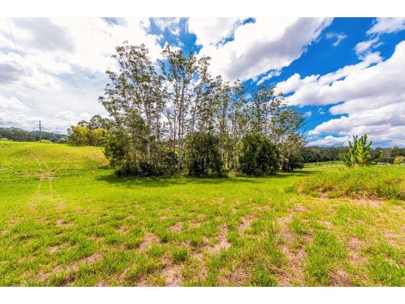 Lot 2, 57 Winston Road, Palmwoods QLD 4555