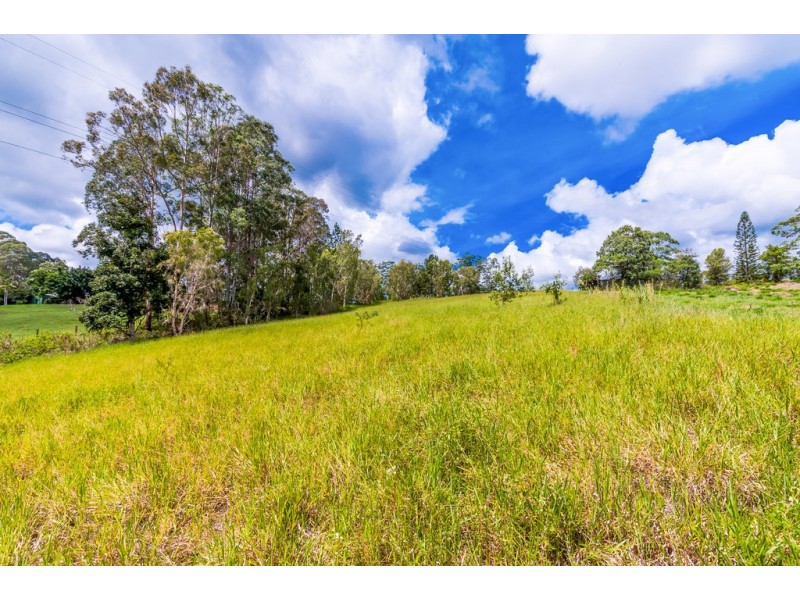 Lot 2, 57 Winston Road, Palmwoods QLD 4555