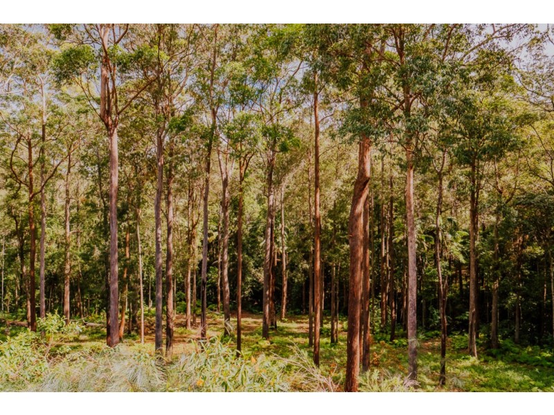 46 HUTCHINSONS ROAD, Ilkley QLD 4554