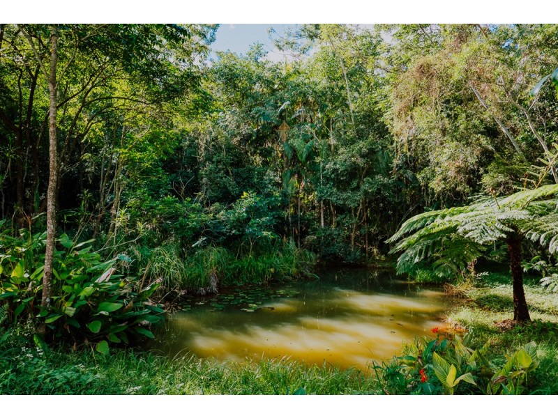 15 HILARY CRESCENT, Woombye QLD 4559