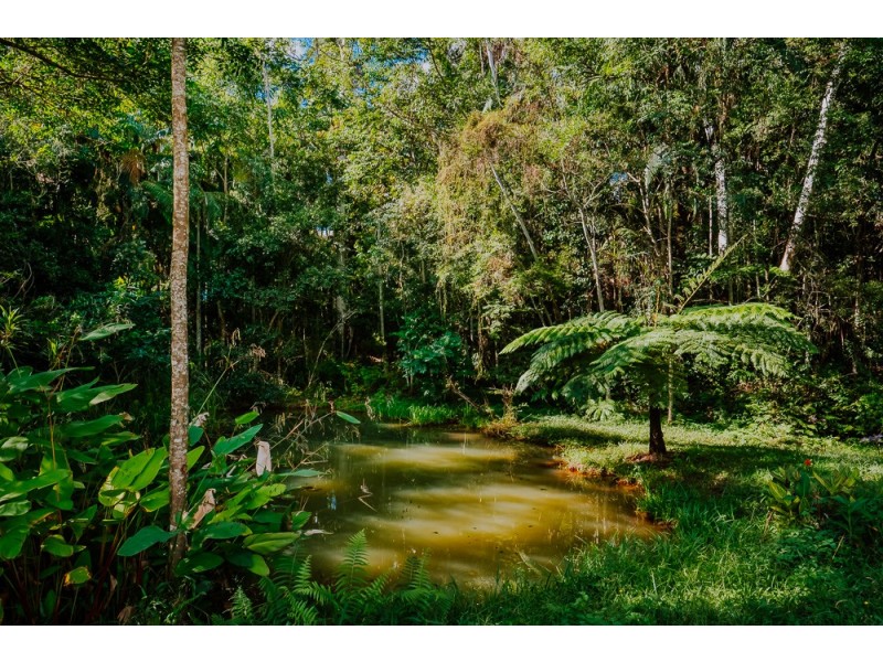 15 HILARY CRESCENT, Woombye QLD 4559