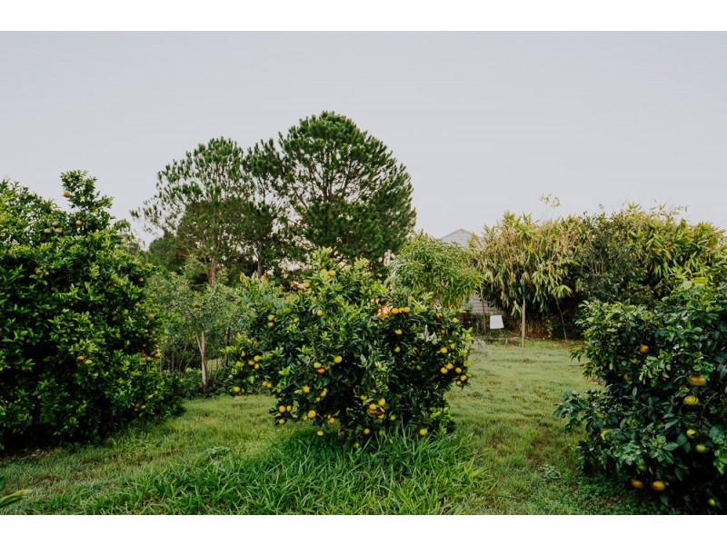 15 HILARY CRESCENT, Woombye QLD 4559