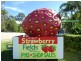 Palmview QLD 4553