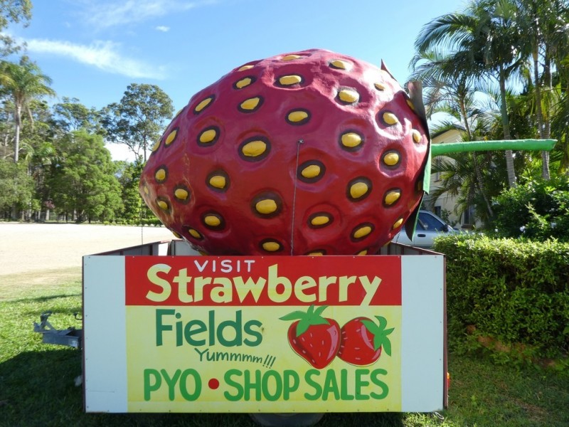 Palmview QLD 4553