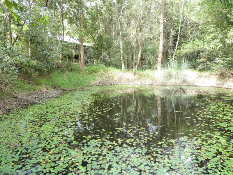 70 Eudlo School Road, Eudlo QLD 4554