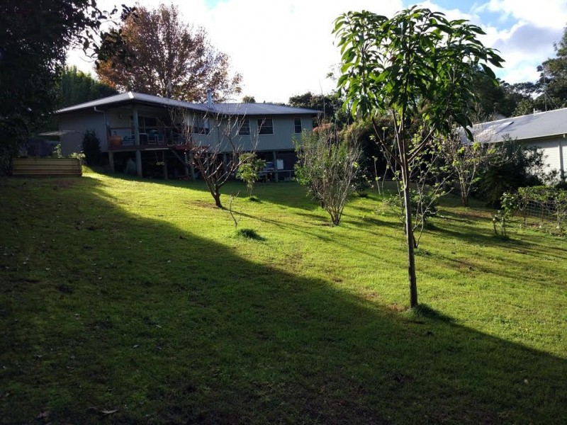 16 Hoffman Close, Montville QLD 4560