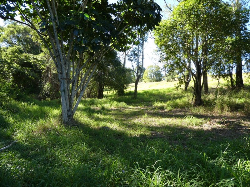 LOT 13 – 262 OLD PALMWOODS ROAD, Palmwoods QLD 4555
