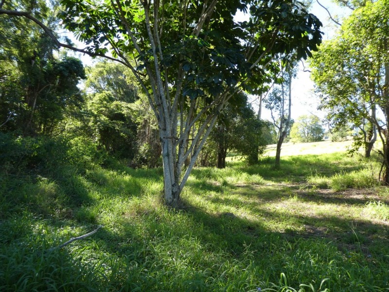 LOT 13 – 262 OLD PALMWOODS ROAD, Palmwoods QLD 4555