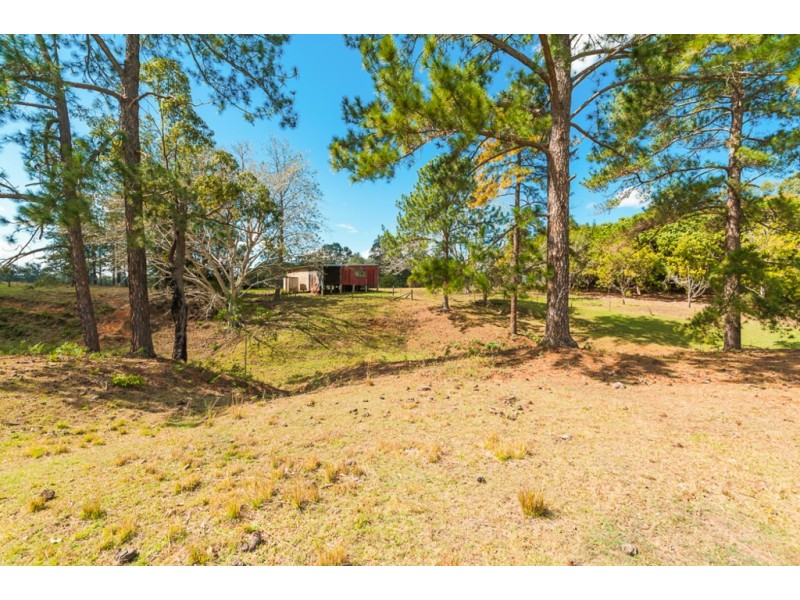 270 PALMWOODS-MONTVILLE ROAD, Palmwoods QLD 4555