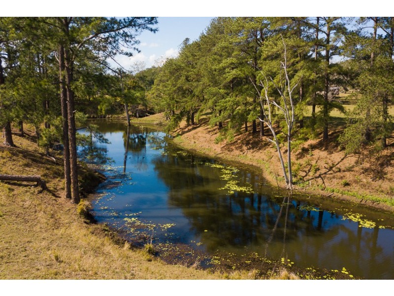 270 PALMWOODS-MONTVILLE ROAD, Palmwoods QLD 4555