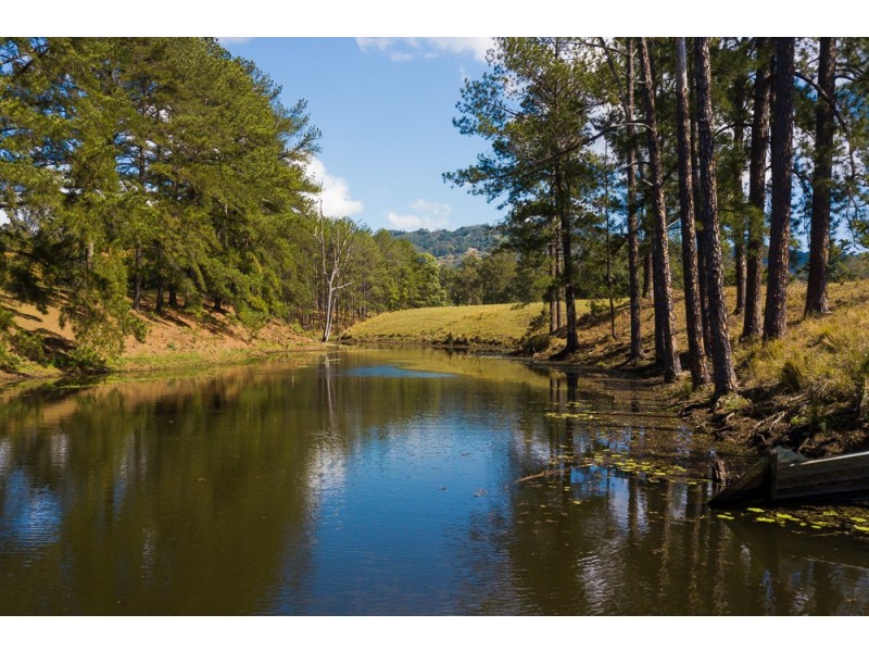 270 PALMWOODS-MONTVILLE ROAD, Palmwoods QLD 4555