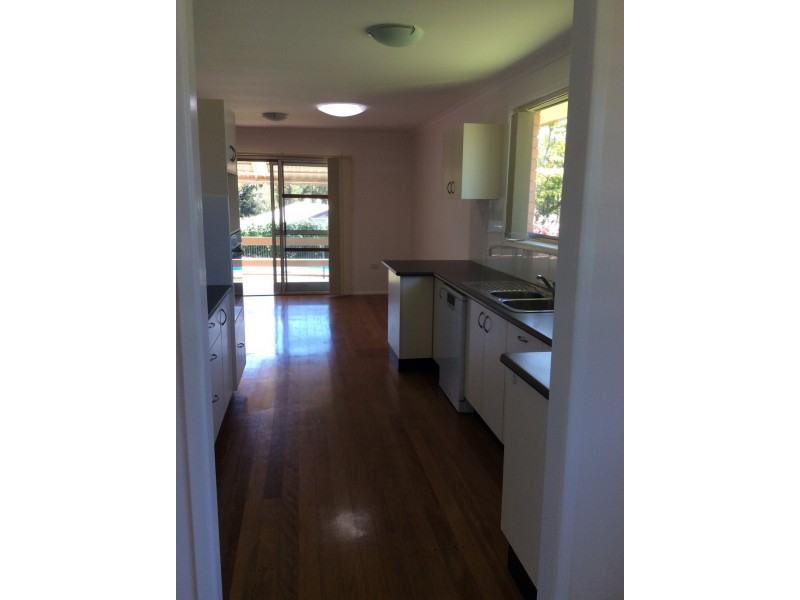 53 Chevallum Road, Palmwoods QLD 4555