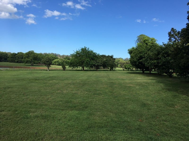 175 OLD PALMWOODS ROAD, West Woombye QLD 4559