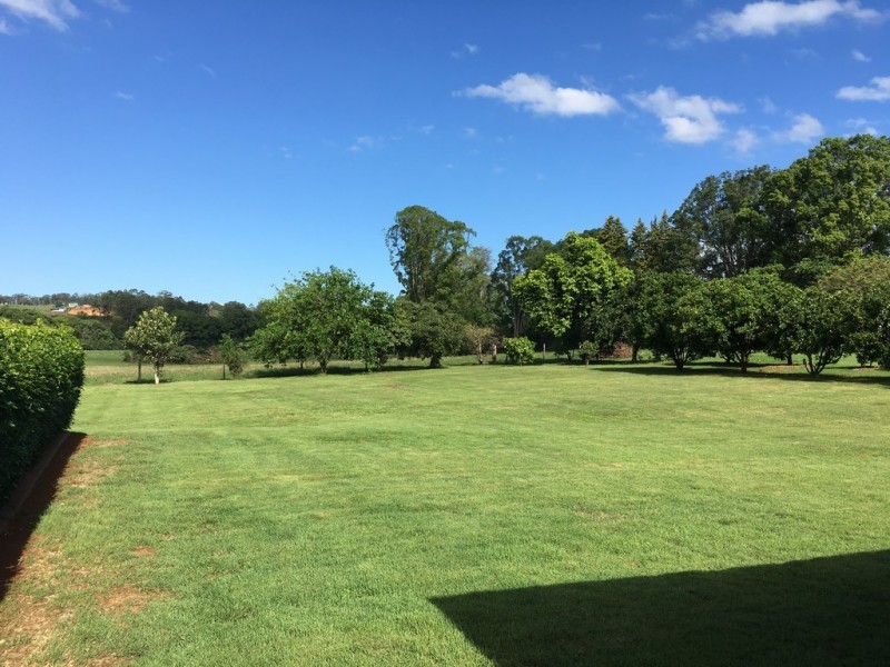 175 OLD PALMWOODS ROAD, West Woombye QLD 4559