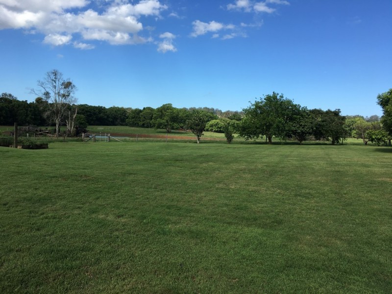 175 OLD PALMWOODS ROAD, West Woombye QLD 4559