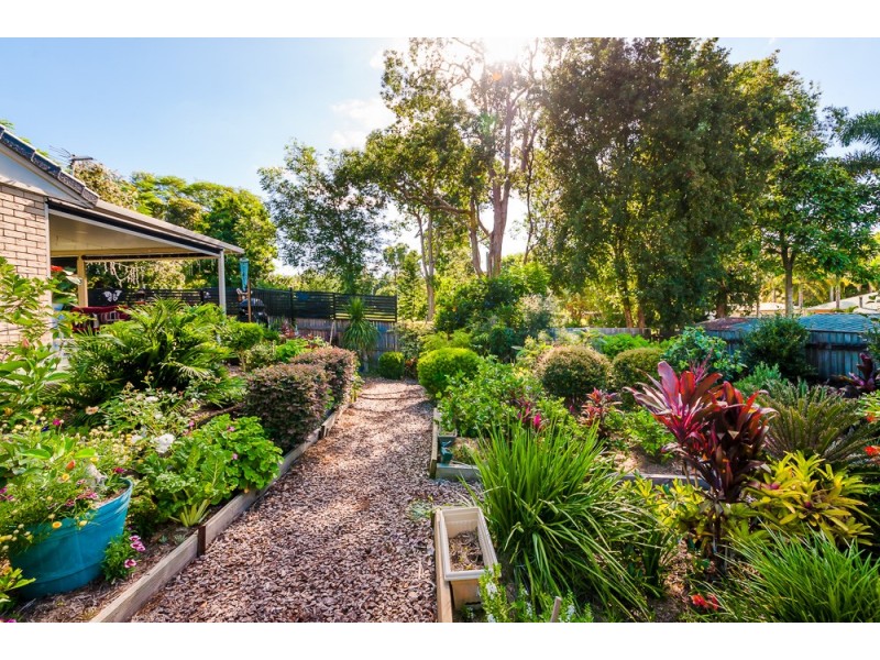 34 LINGARD STREET, Palmwoods QLD 4555