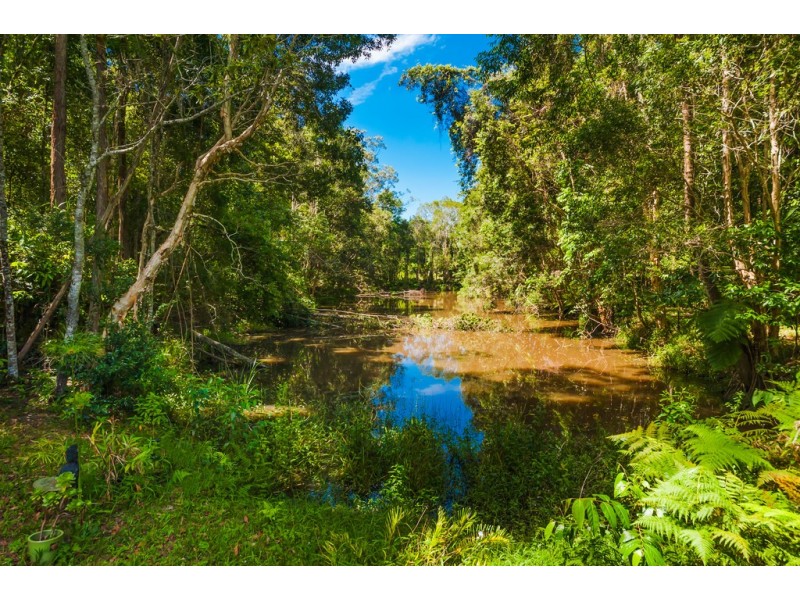 43 Bamboo Road, Palmwoods QLD 4555