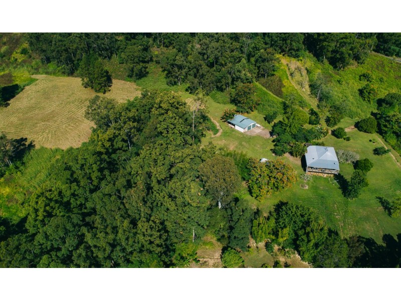 51 CITRUS ROAD, Palmwoods QLD 4555