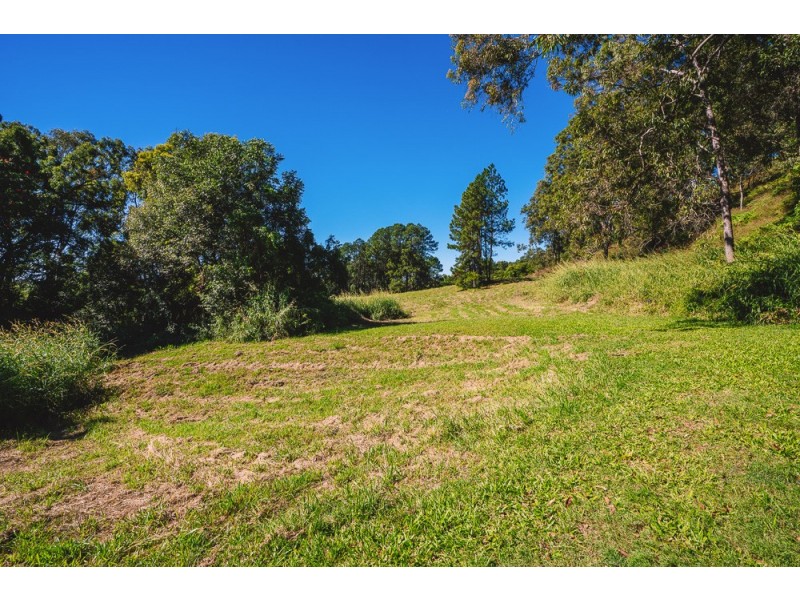 51 CITRUS ROAD, Palmwoods QLD 4555