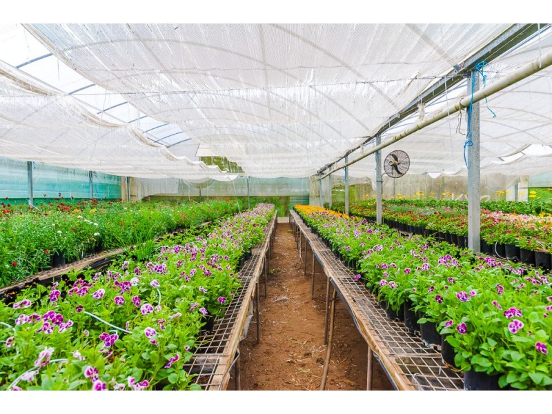 319 HIGHLANDS ROAD, Eudlo QLD 4554