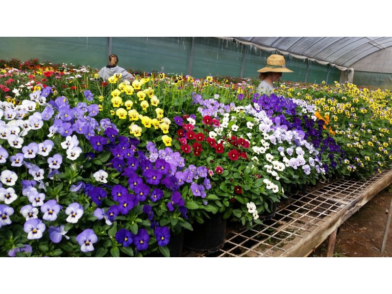 319 HIGHLANDS ROAD, Eudlo QLD 4554