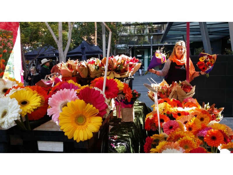 319 HIGHLANDS ROAD, Eudlo QLD 4554