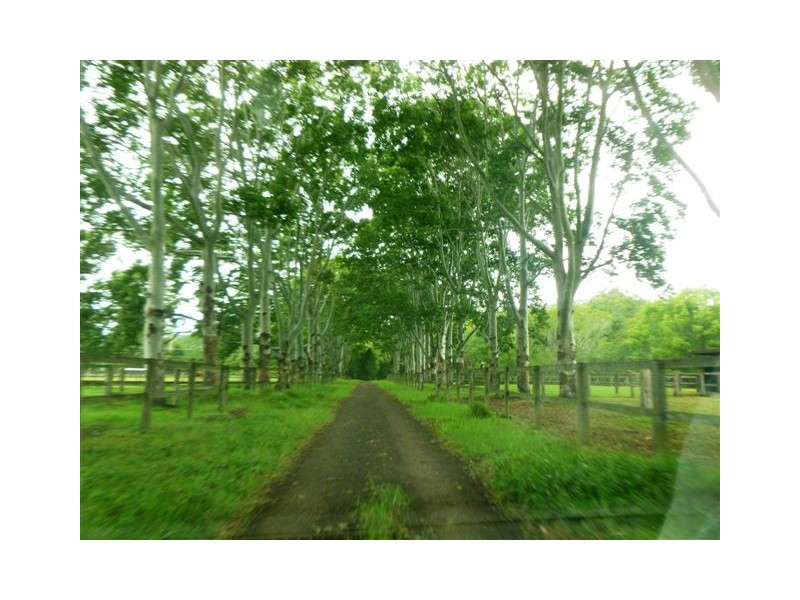 205 Highlands Road, Eudlo QLD 4554