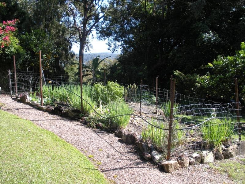 Kiels Mountain QLD 4559