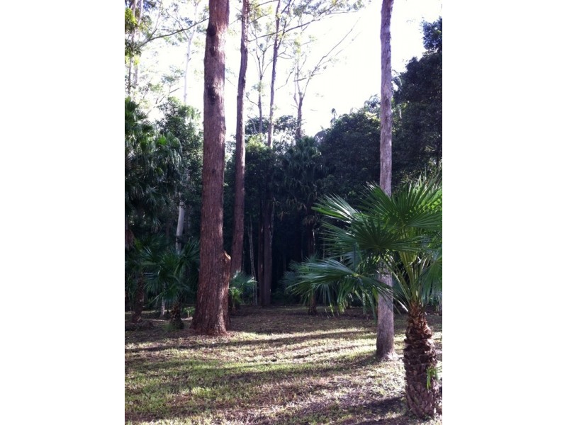 111A Kentish Road, Kiels Mountain QLD 4559