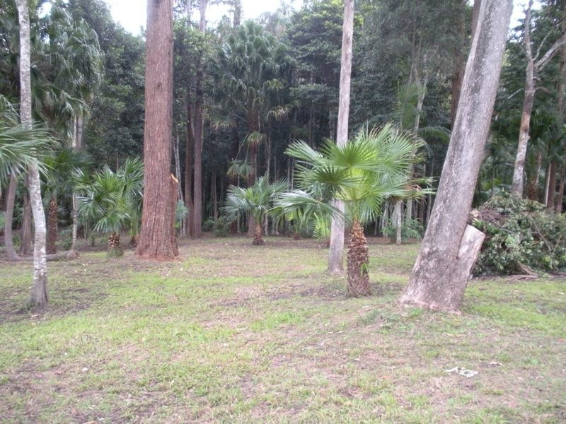 111A Kentish Road, Kiels Mountain QLD 4559