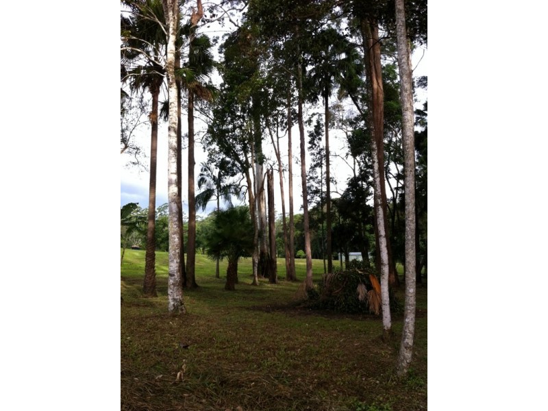 111A Kentish Road, Kiels Mountain QLD 4559