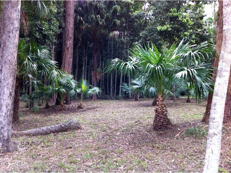 111A Kentish Road, Kiels Mountain QLD 4559