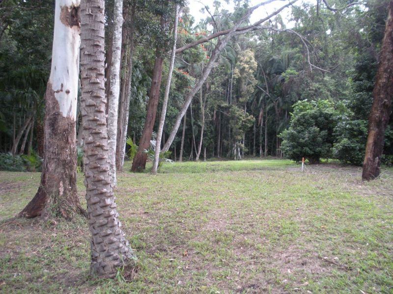 111A Kentish Road, Kiels Mountain QLD 4559