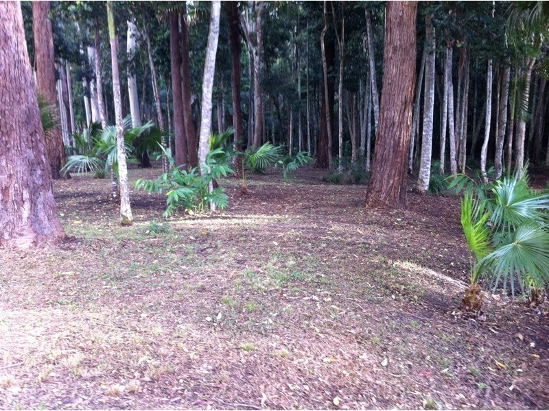 111A Kentish Road, Kiels Mountain QLD 4559