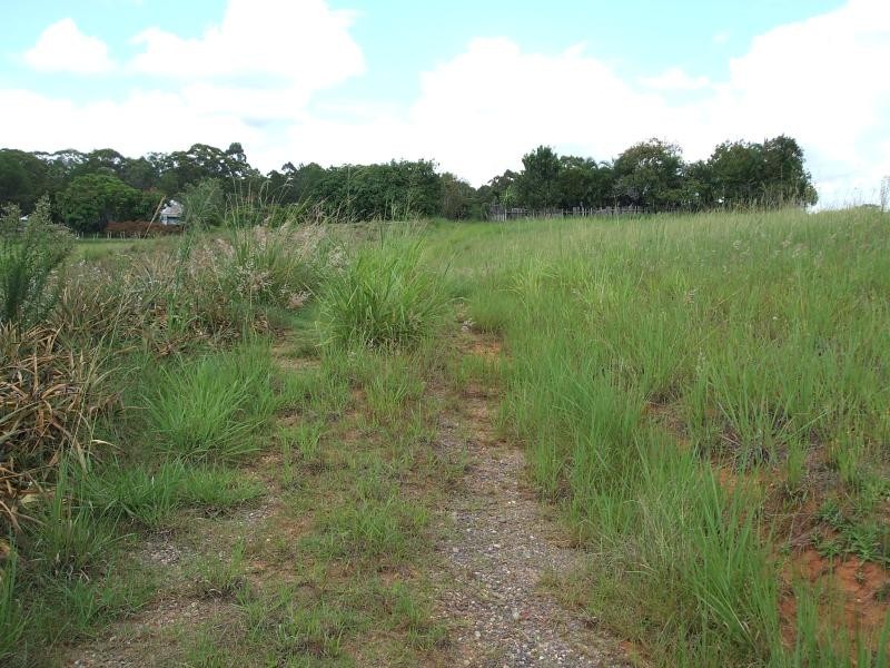 1 TESKE DRIVE, Palmwoods QLD 4555