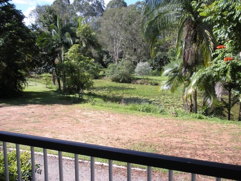 Palmwoods QLD 4555