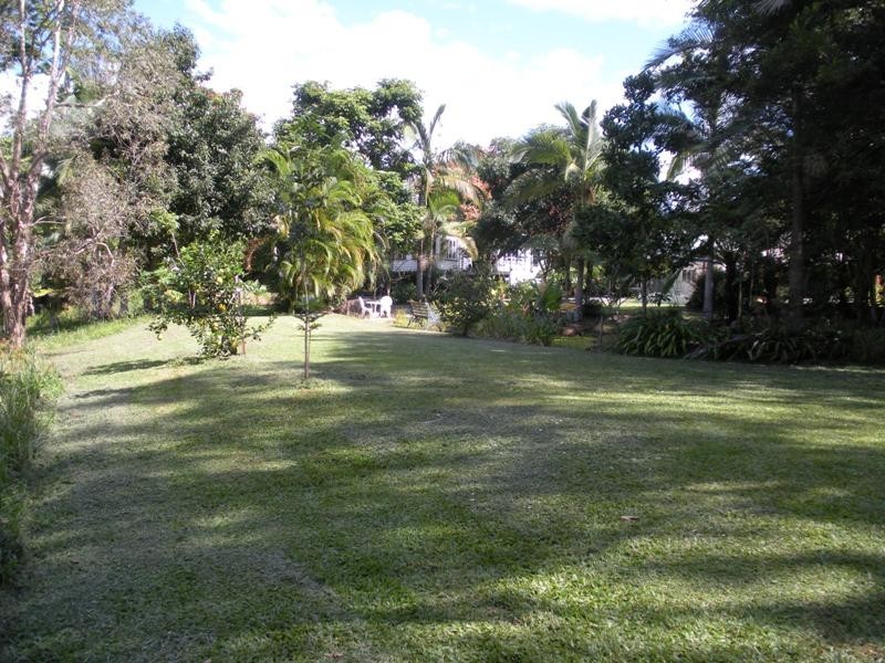 Palmwoods QLD 4555